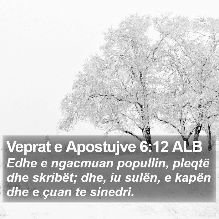 Veprat e Apostujve 6:12 ALB Bible Study