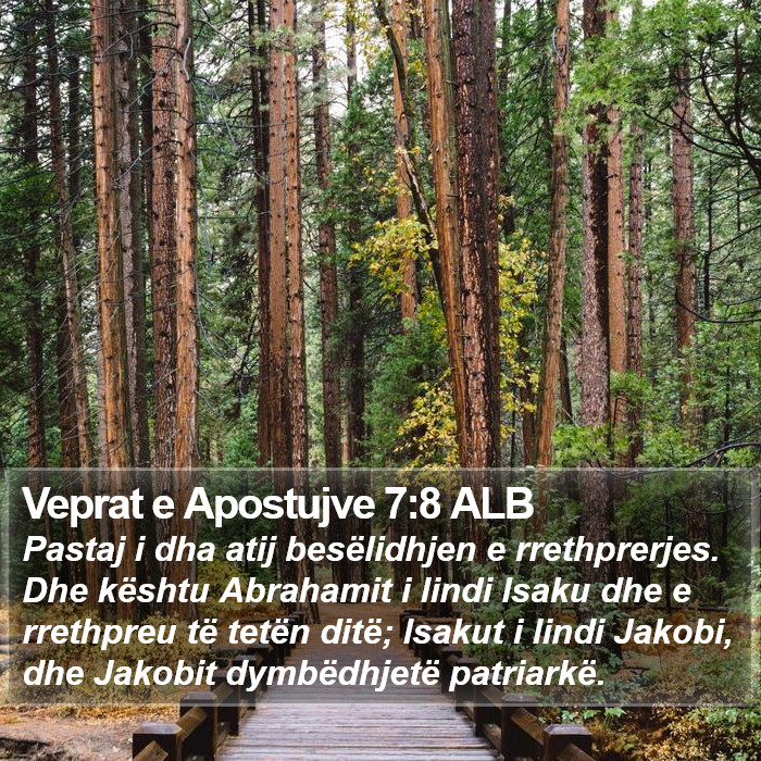 Veprat e Apostujve 7:8 ALB Bible Study