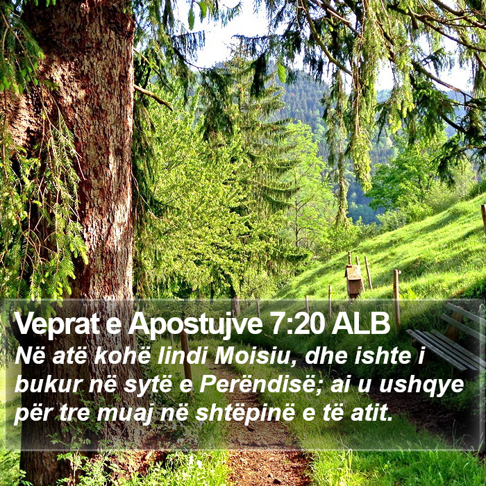 Veprat e Apostujve 7:20 ALB Bible Study
