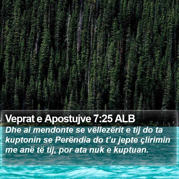 Veprat e Apostujve 7:25 ALB Bible Study