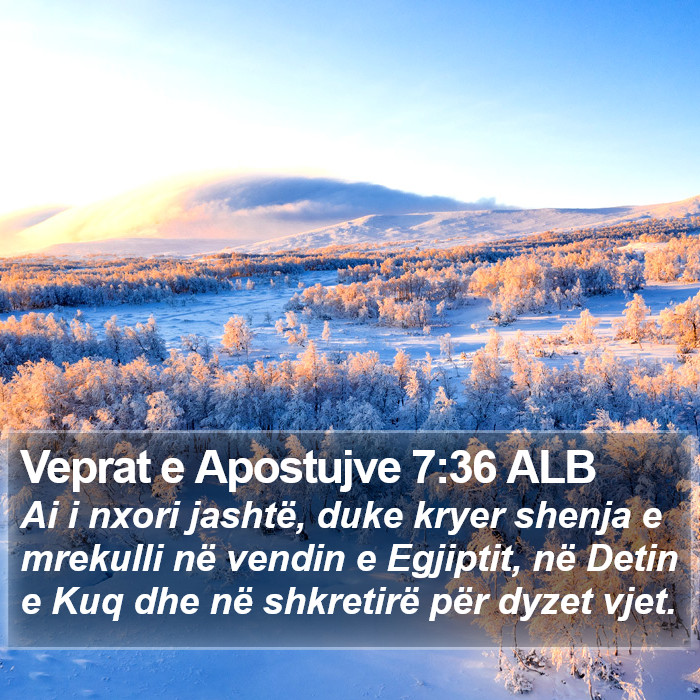 Veprat e Apostujve 7:36 ALB Bible Study