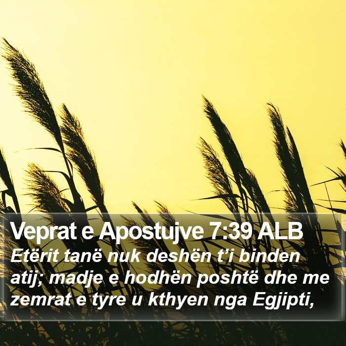 Veprat e Apostujve 7:39 ALB Bible Study