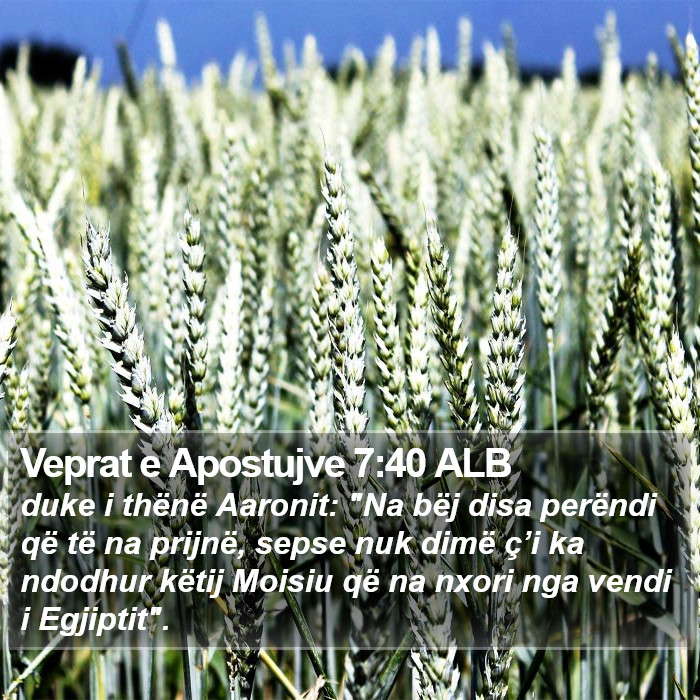 Veprat e Apostujve 7:40 ALB Bible Study