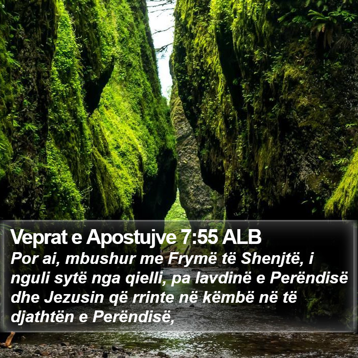 Veprat e Apostujve 7:55 ALB Bible Study