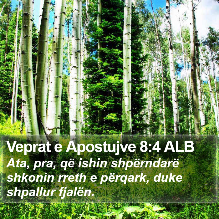 Veprat e Apostujve 8:4 ALB Bible Study