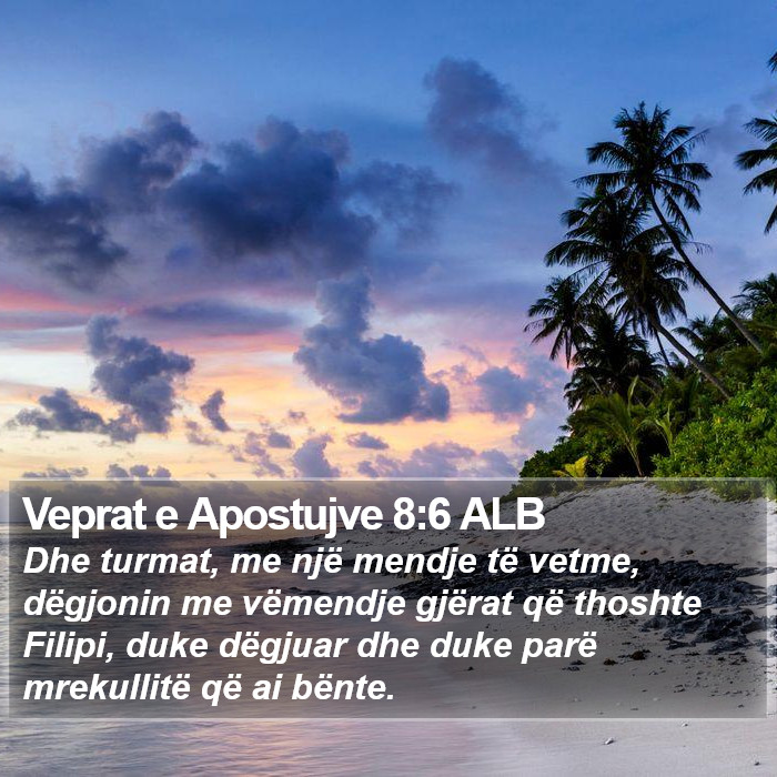 Veprat e Apostujve 8:6 ALB Bible Study