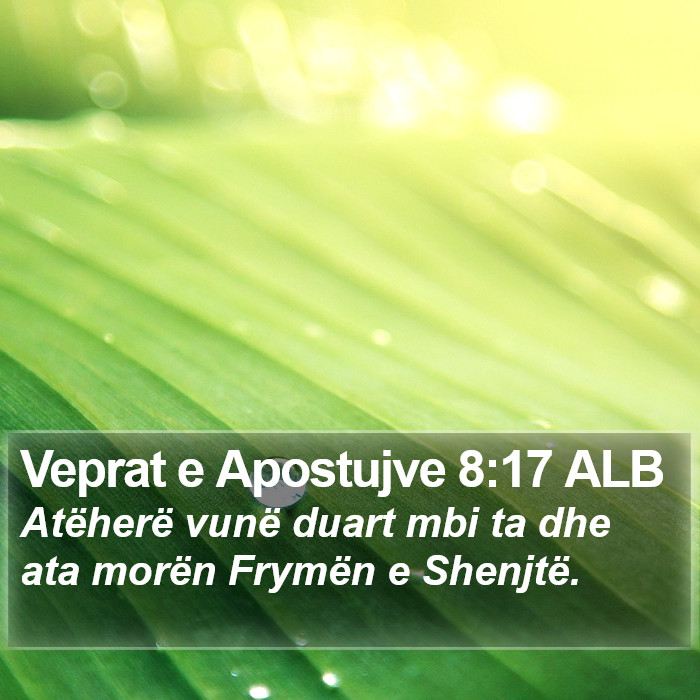 Veprat e Apostujve 8:17 ALB Bible Study