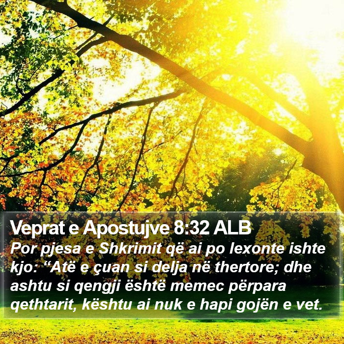 Veprat e Apostujve 8:32 ALB Bible Study