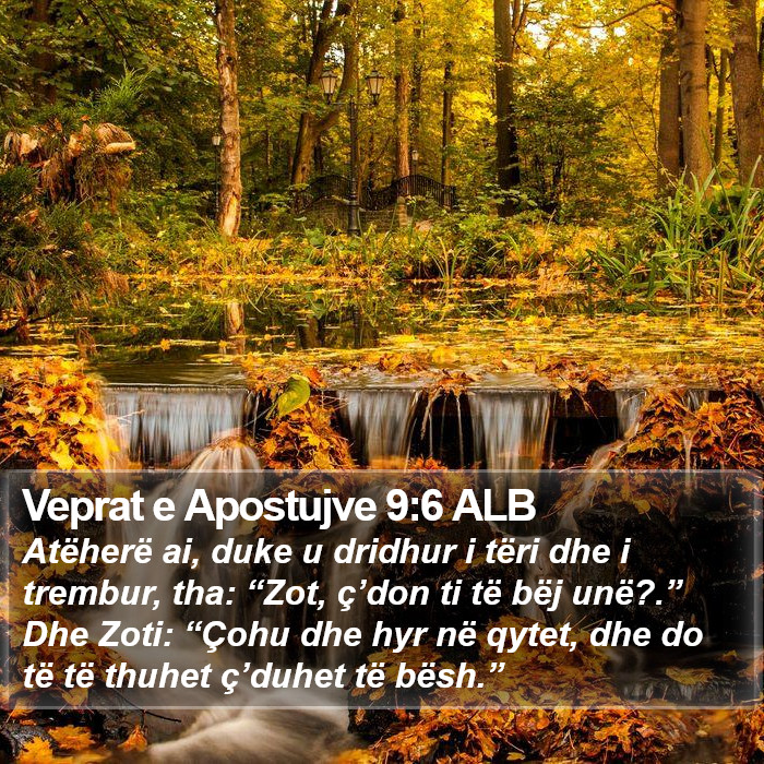 Veprat e Apostujve 9:6 ALB Bible Study