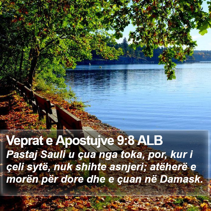 Veprat e Apostujve 9:8 ALB Bible Study