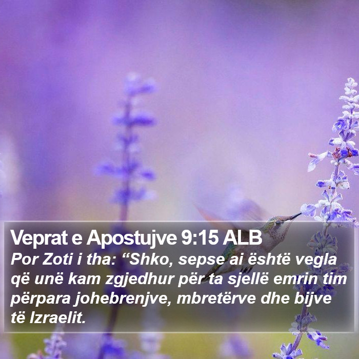 Veprat e Apostujve 9:15 ALB Bible Study