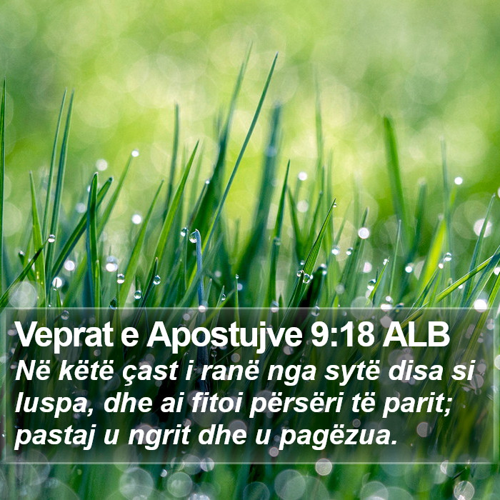 Veprat e Apostujve 9:18 ALB Bible Study