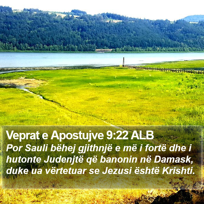 Veprat e Apostujve 9:22 ALB Bible Study