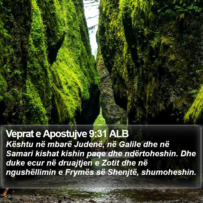 Veprat e Apostujve 9:31 ALB Bible Study