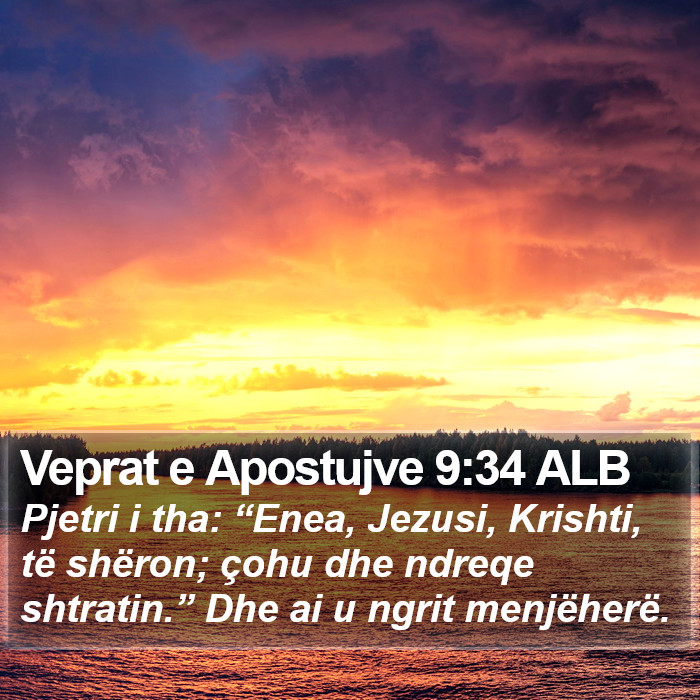 Veprat e Apostujve 9:34 ALB Bible Study