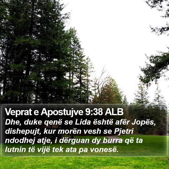 Veprat e Apostujve 9:38 ALB Bible Study