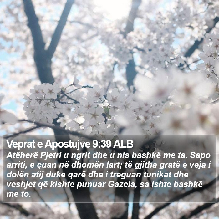 Veprat e Apostujve 9:39 ALB Bible Study