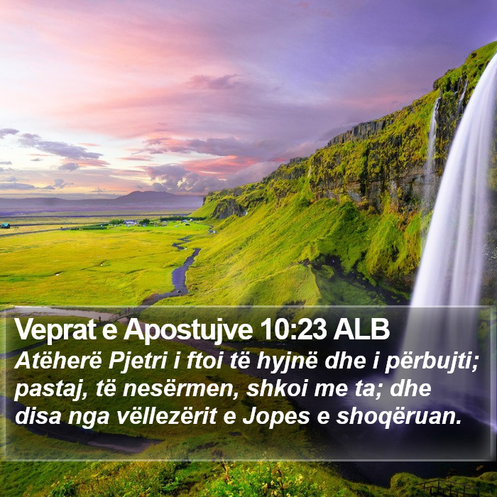 Veprat e Apostujve 10:23 ALB Bible Study