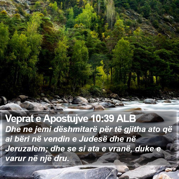 Veprat e Apostujve 10:39 ALB Bible Study