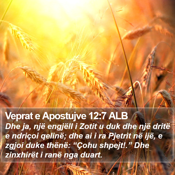 Veprat e Apostujve 12:7 ALB Bible Study