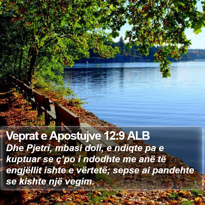 Veprat e Apostujve 12:9 ALB Bible Study