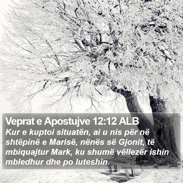 Veprat e Apostujve 12:12 ALB Bible Study