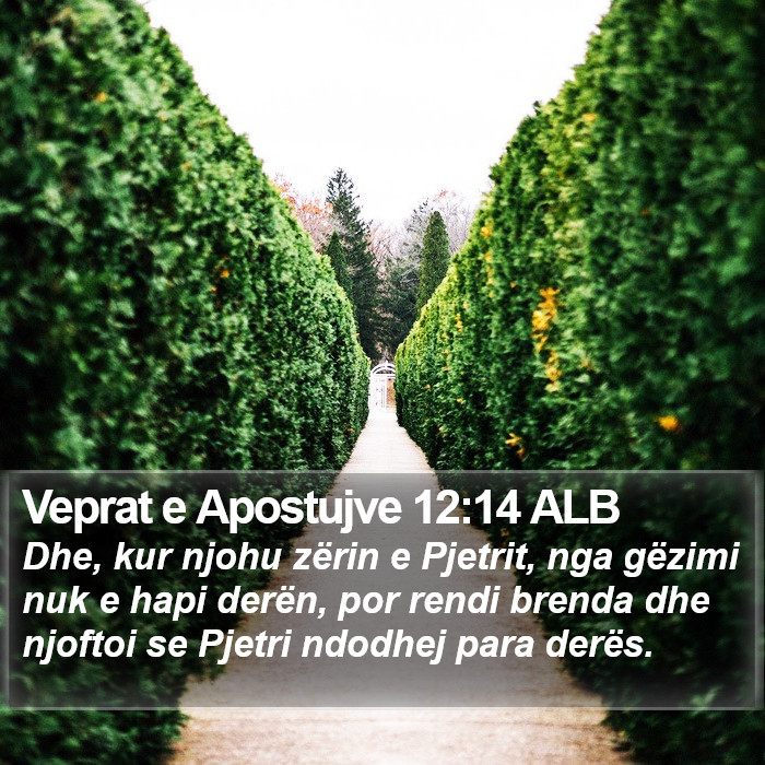 Veprat e Apostujve 12:14 ALB Bible Study