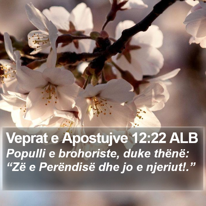 Veprat e Apostujve 12:22 ALB Bible Study