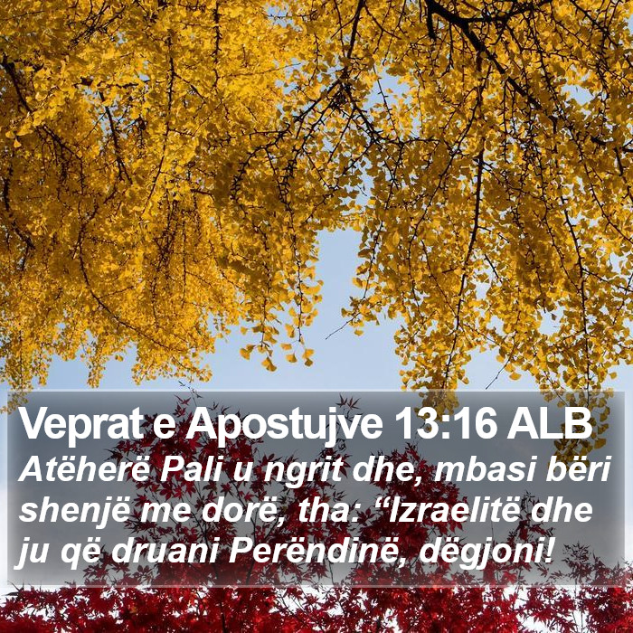 Veprat e Apostujve 13:16 ALB Bible Study