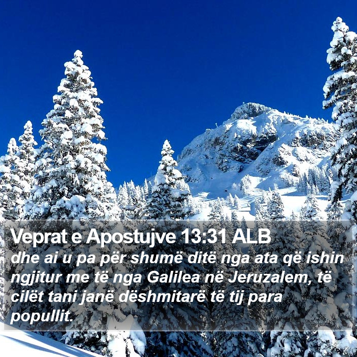 Veprat e Apostujve 13:31 ALB Bible Study