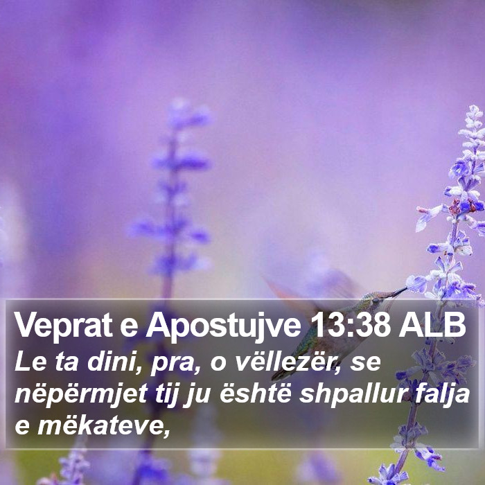 Veprat e Apostujve 13:38 ALB Bible Study