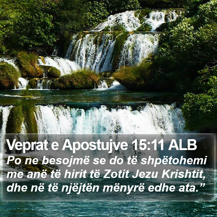 Veprat e Apostujve 15:11 ALB Bible Study