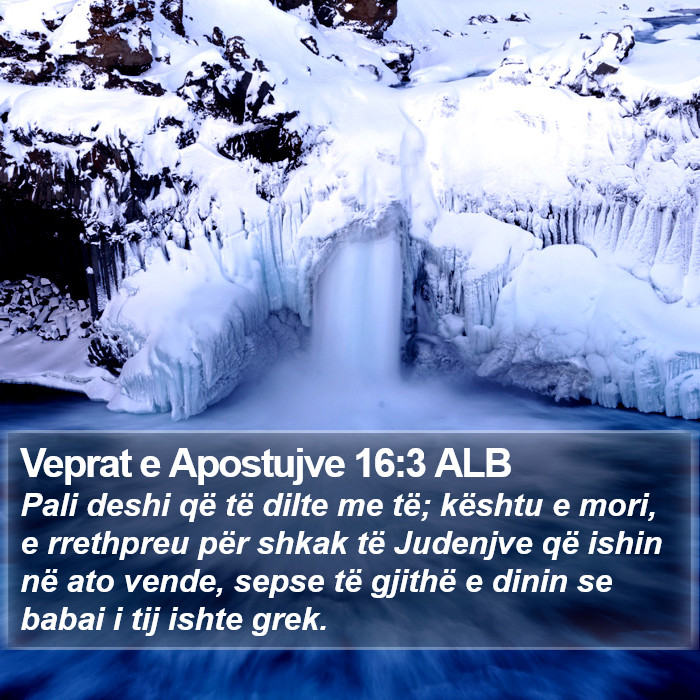 Veprat e Apostujve 16:3 ALB Bible Study