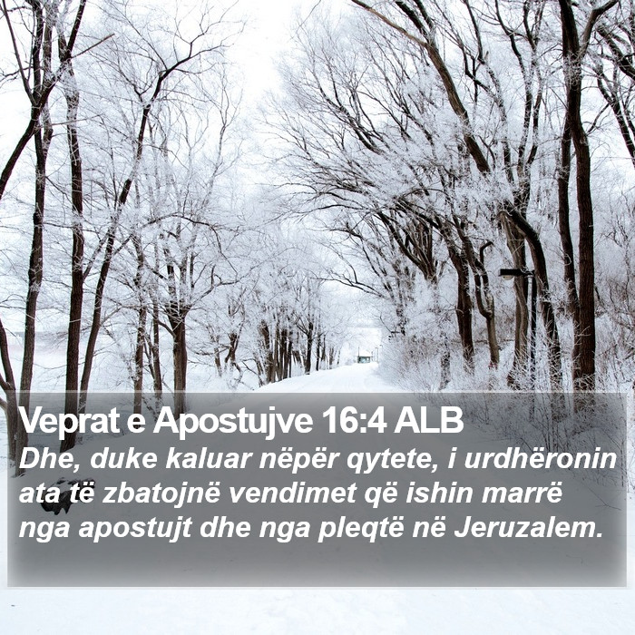 Veprat e Apostujve 16:4 ALB Bible Study