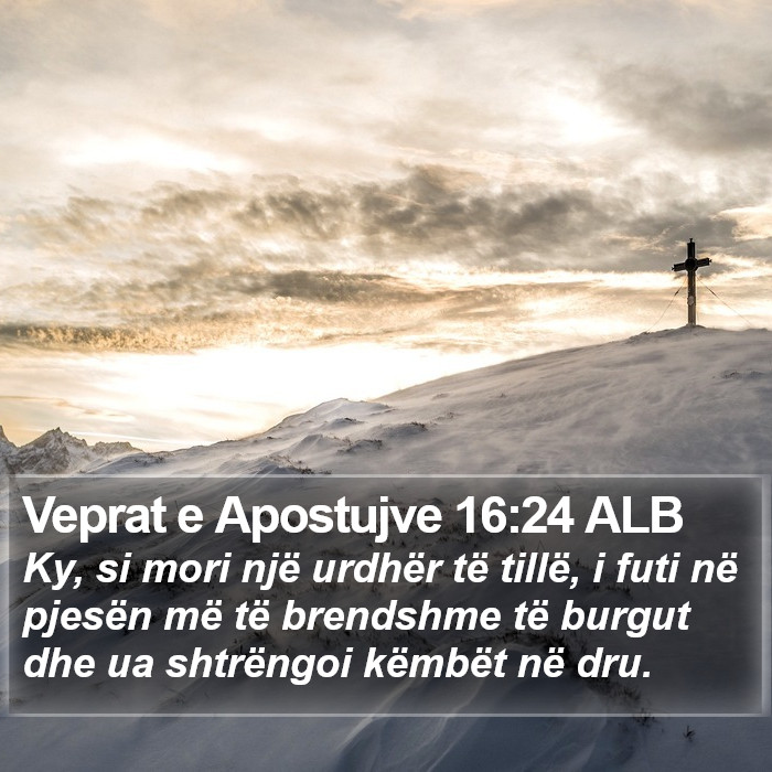 Veprat e Apostujve 16:24 ALB Bible Study