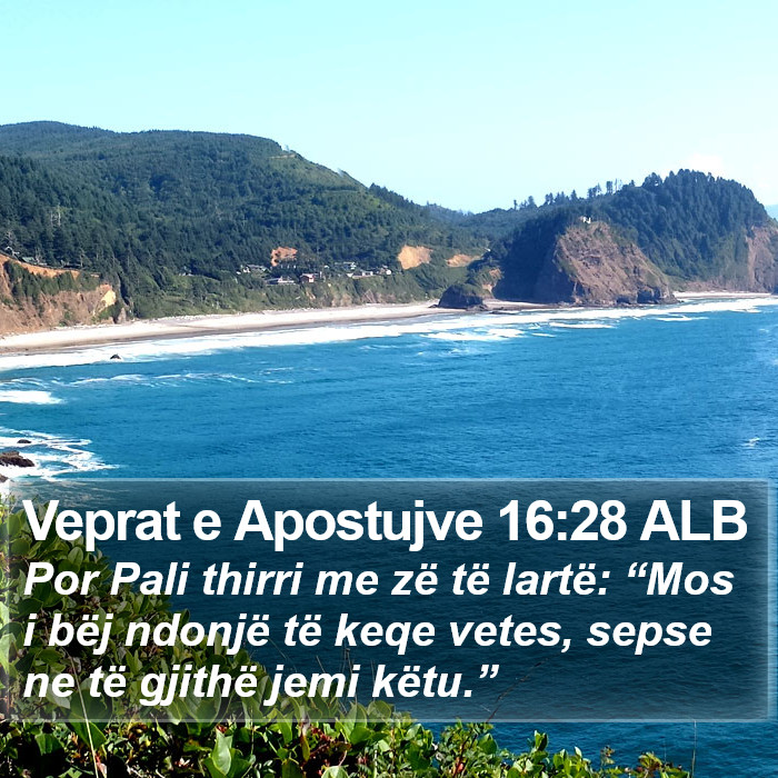 Veprat e Apostujve 16:28 ALB Bible Study