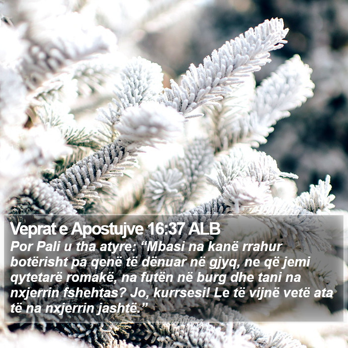 Veprat e Apostujve 16:37 ALB Bible Study