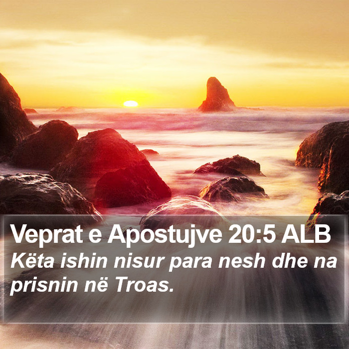 Veprat e Apostujve 20:5 ALB Bible Study