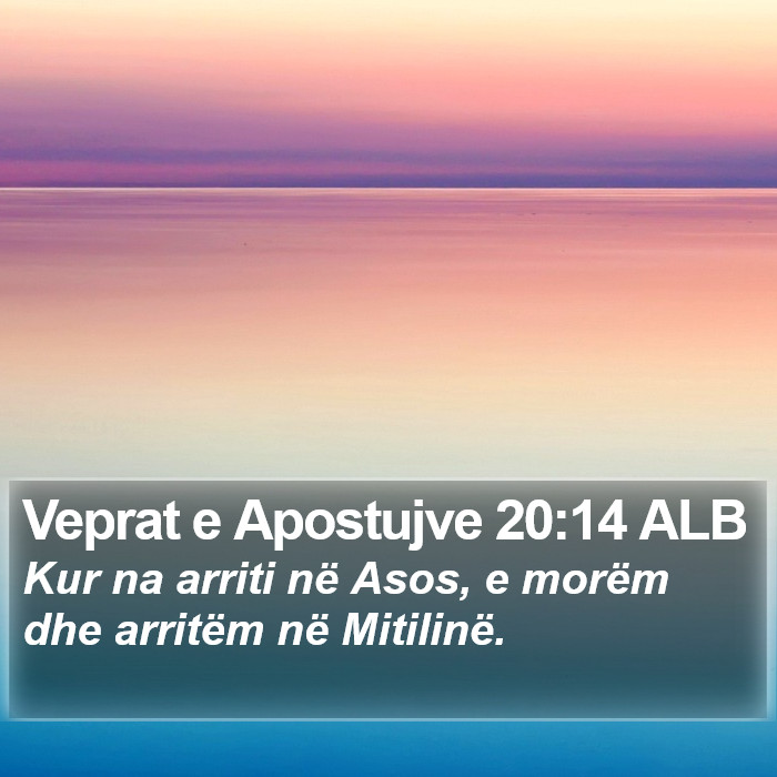 Veprat e Apostujve 20:14 ALB Bible Study