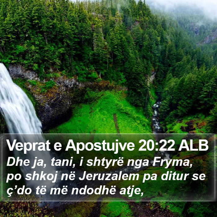 Veprat e Apostujve 20:22 ALB Bible Study