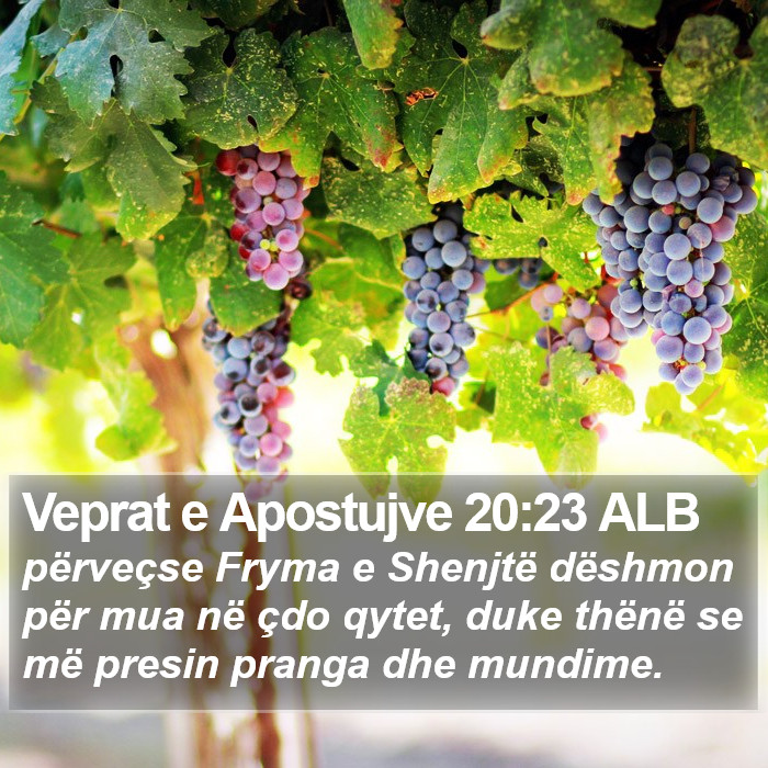 Veprat e Apostujve 20:23 ALB Bible Study