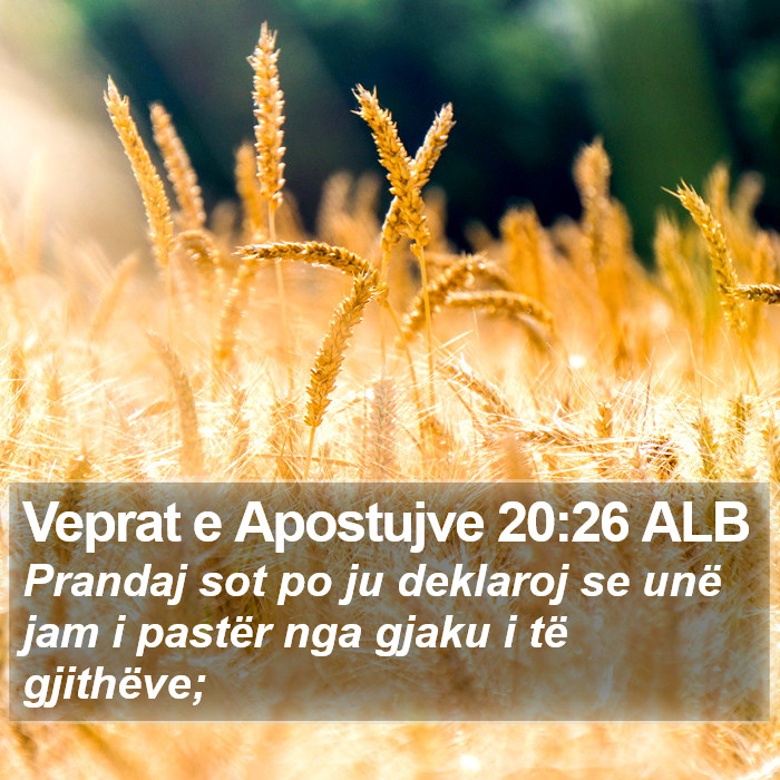 Veprat e Apostujve 20:26 ALB Bible Study