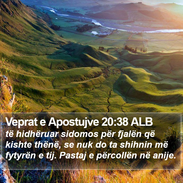 Veprat e Apostujve 20:38 ALB Bible Study
