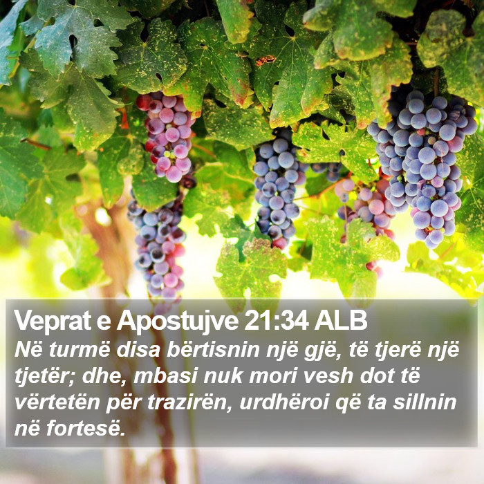 Veprat e Apostujve 21:34 ALB Bible Study