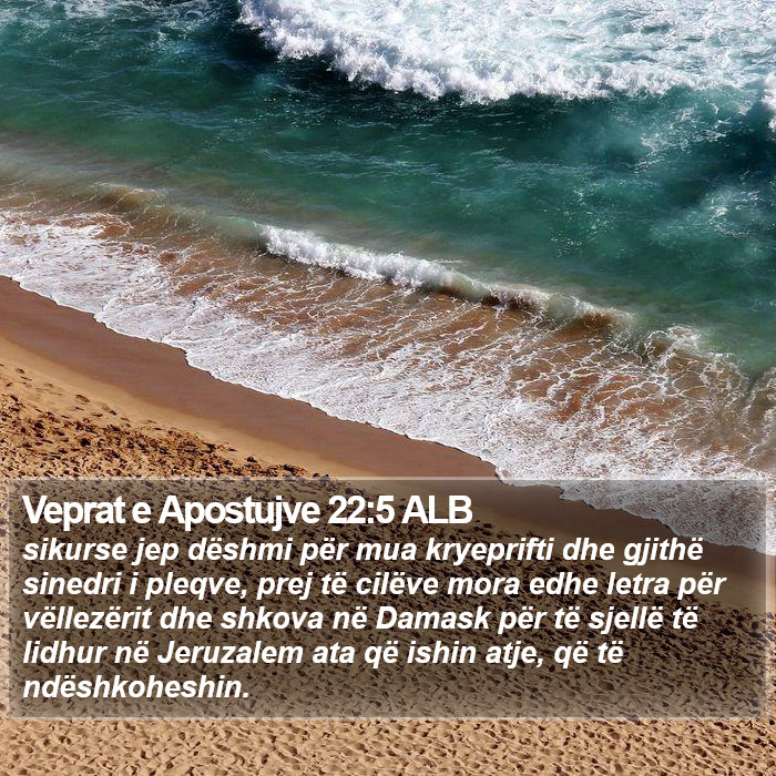 Veprat e Apostujve 22:5 ALB Bible Study