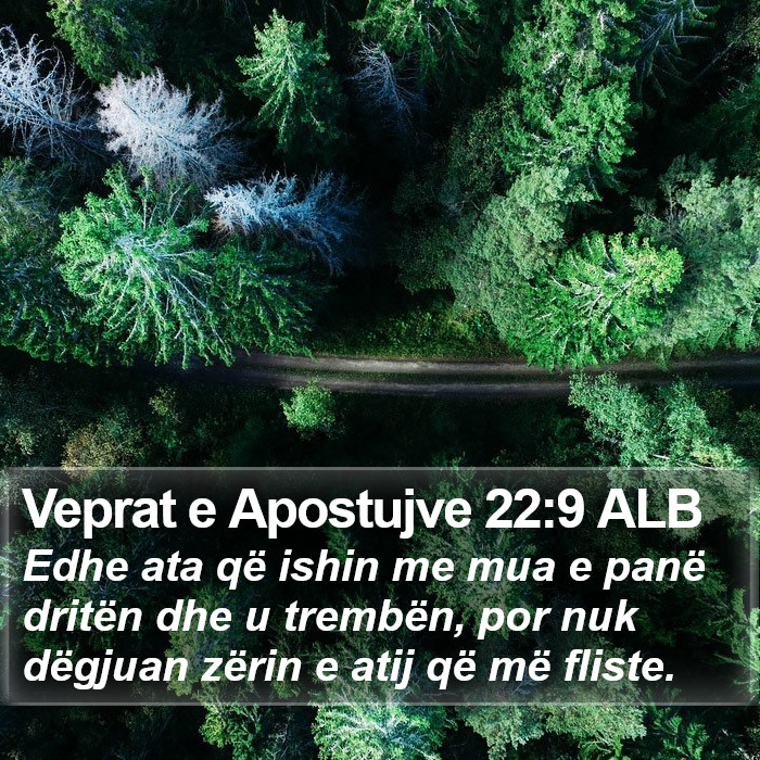 Veprat e Apostujve 22:9 ALB Bible Study