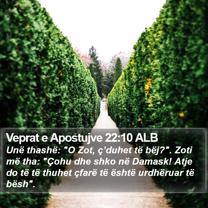 Veprat e Apostujve 22:10 ALB Bible Study