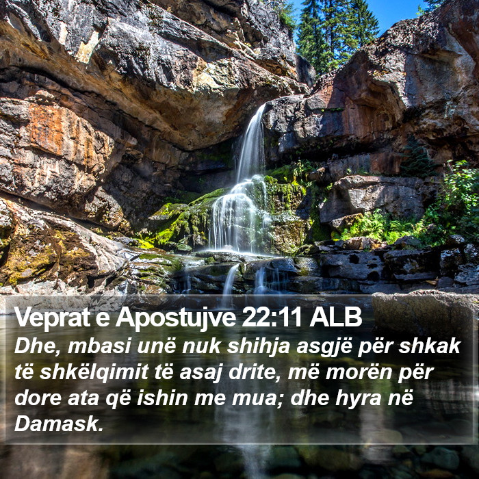Veprat e Apostujve 22:11 ALB Bible Study