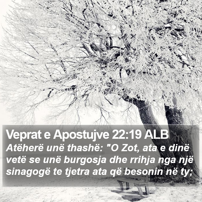 Veprat e Apostujve 22:19 ALB Bible Study
