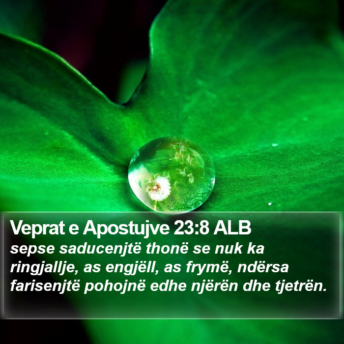 Veprat e Apostujve 23:8 ALB Bible Study